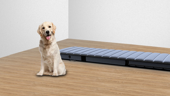 Black Polyester Foldable Massage Mattress With Remote Control